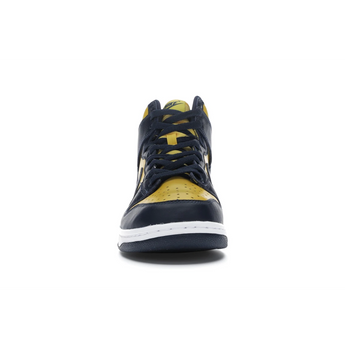 Nike Dunk High Michigan