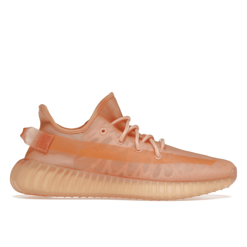 Adidas Yeezy Boost 350 V2 Mono Clay product image