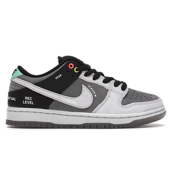 Dunk Low VX1000 Camcorder