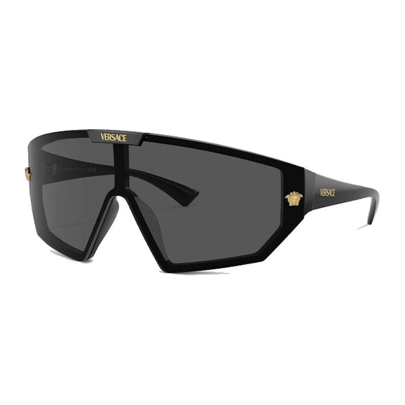 Versace Maxi Medusa Horizon SGH Sunglasses Black