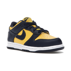 Nike Dunk Low Michigan (PS)