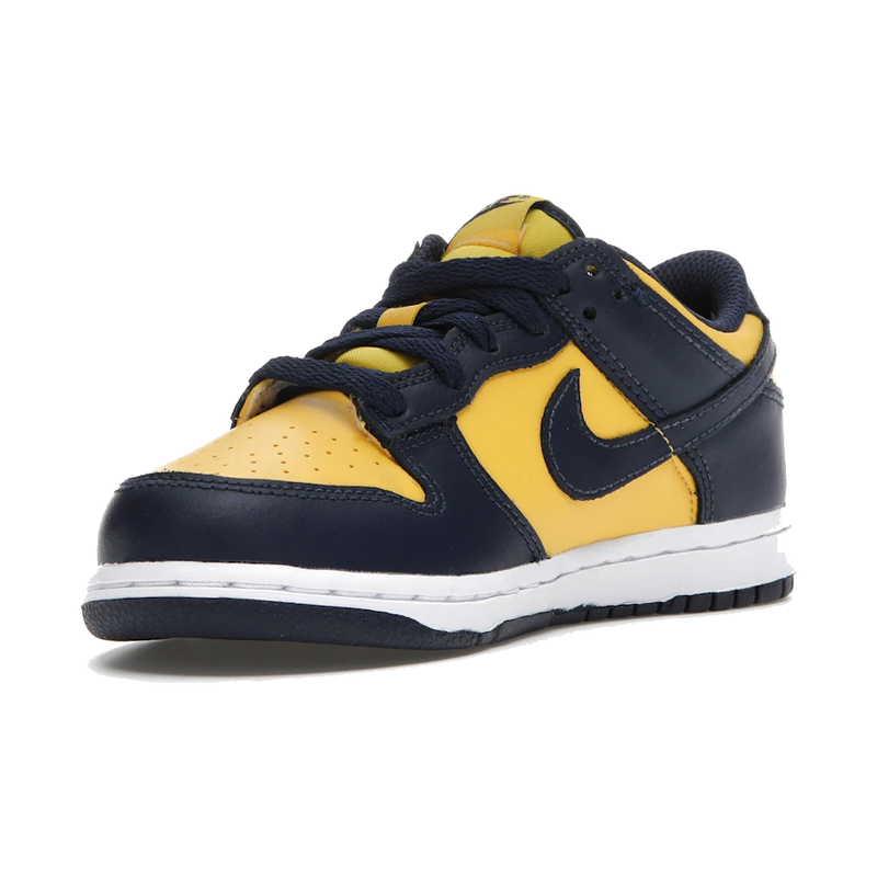 Nike Dunk Low Michigan (PS)